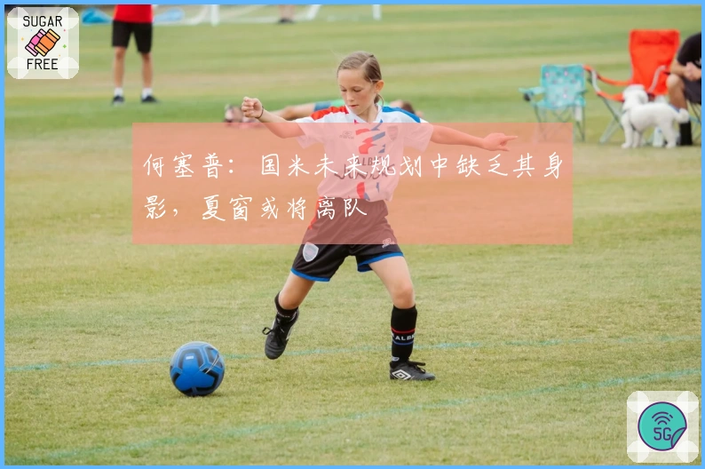 何塞普：国米未来规划中缺乏其身影，夏窗或将离队